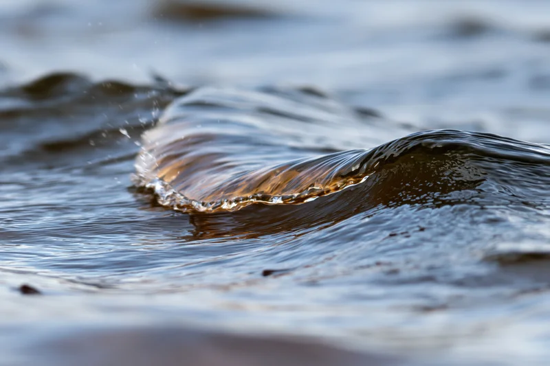 Small breaking wave curling at close range on shallow water surface