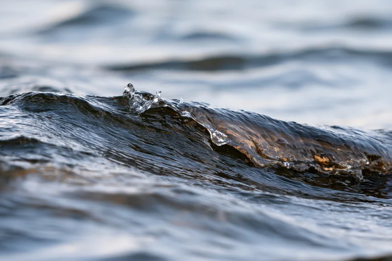 Close-up of a small breaking wave curling on the water surface