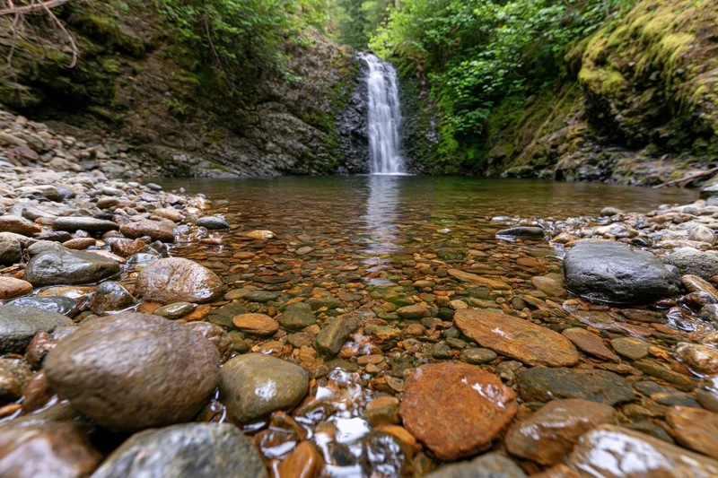 Small waterfall cascading into calm forest pool surrounded by mossy rocks and green foliage