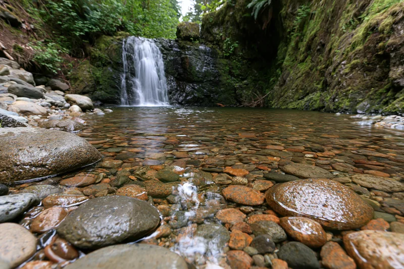 Small waterfall cascading into a calm forest pool surrounded by mossy rocks and dense greenery