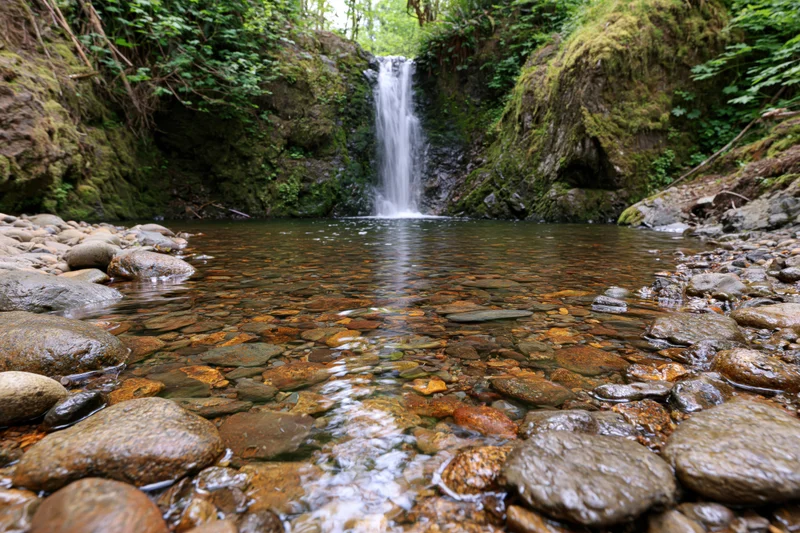 Small waterfall cascading into a calm forest pool surrounded by mossy rocks and dense greenery
