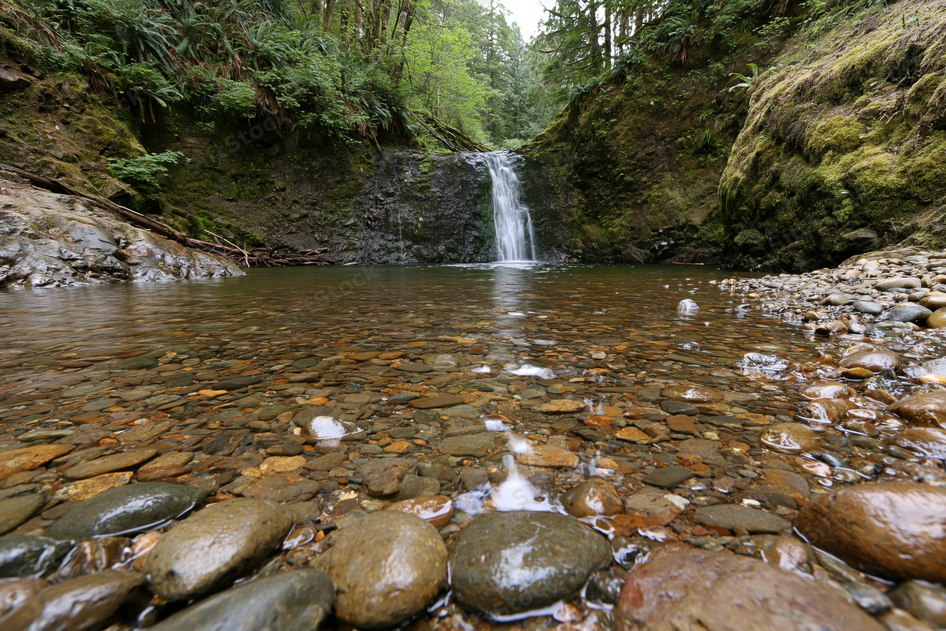 Small waterfall cascading into a calm forest pool surrounded by mossy rocks and dense green trees