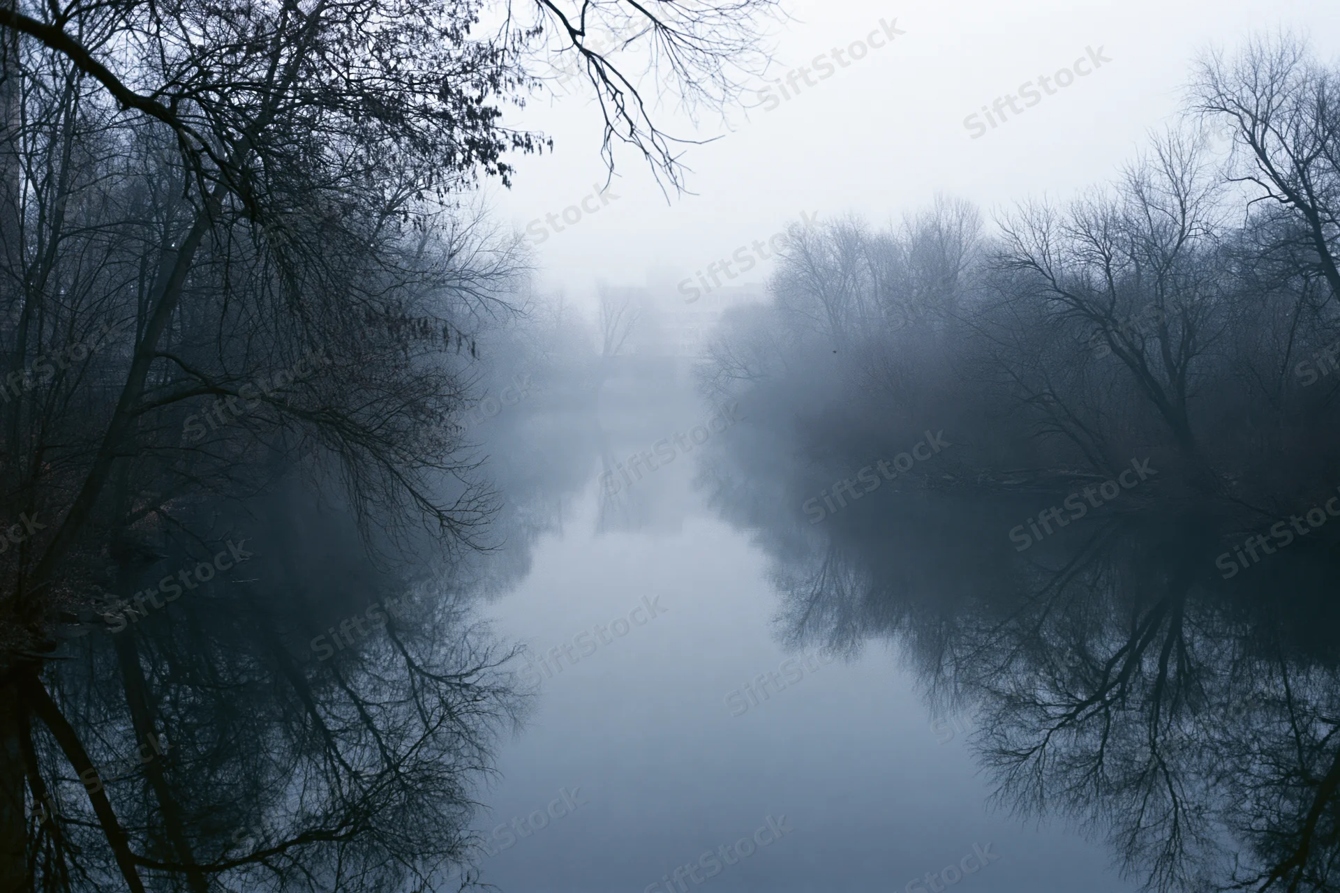 Still river reflecting bare trees in dense fog at dawn