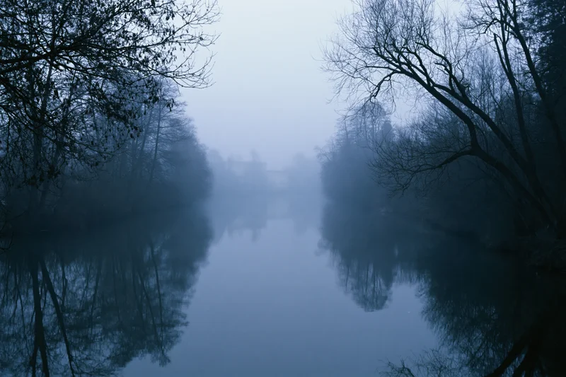 Still river at dawn shrouded in dense fog with bare trees reflected in calm water