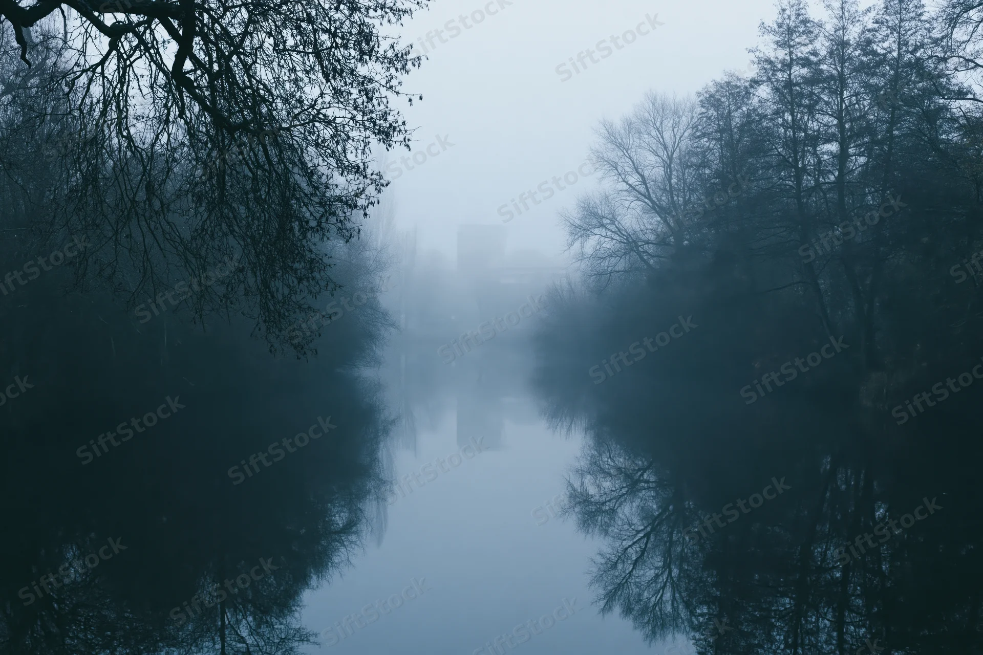 Still river at dawn shrouded in dense fog with bare trees reflected in calm water