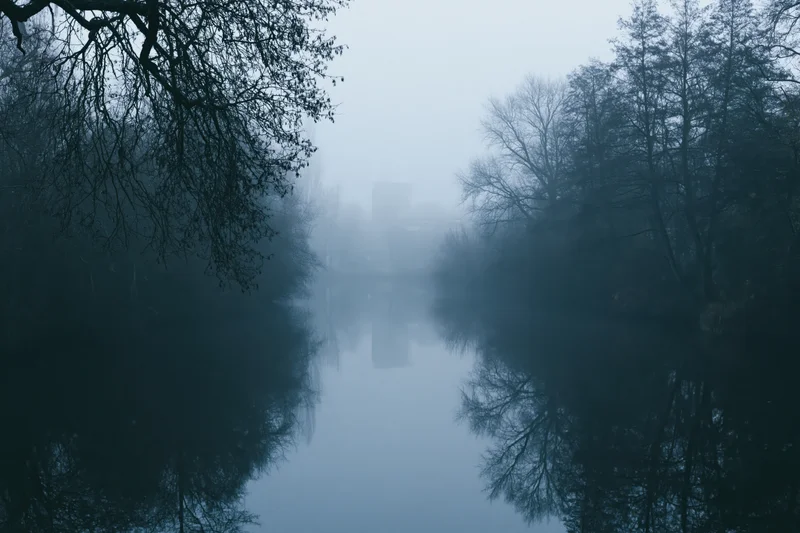 Still river at dawn shrouded in dense fog with bare trees reflected in calm water