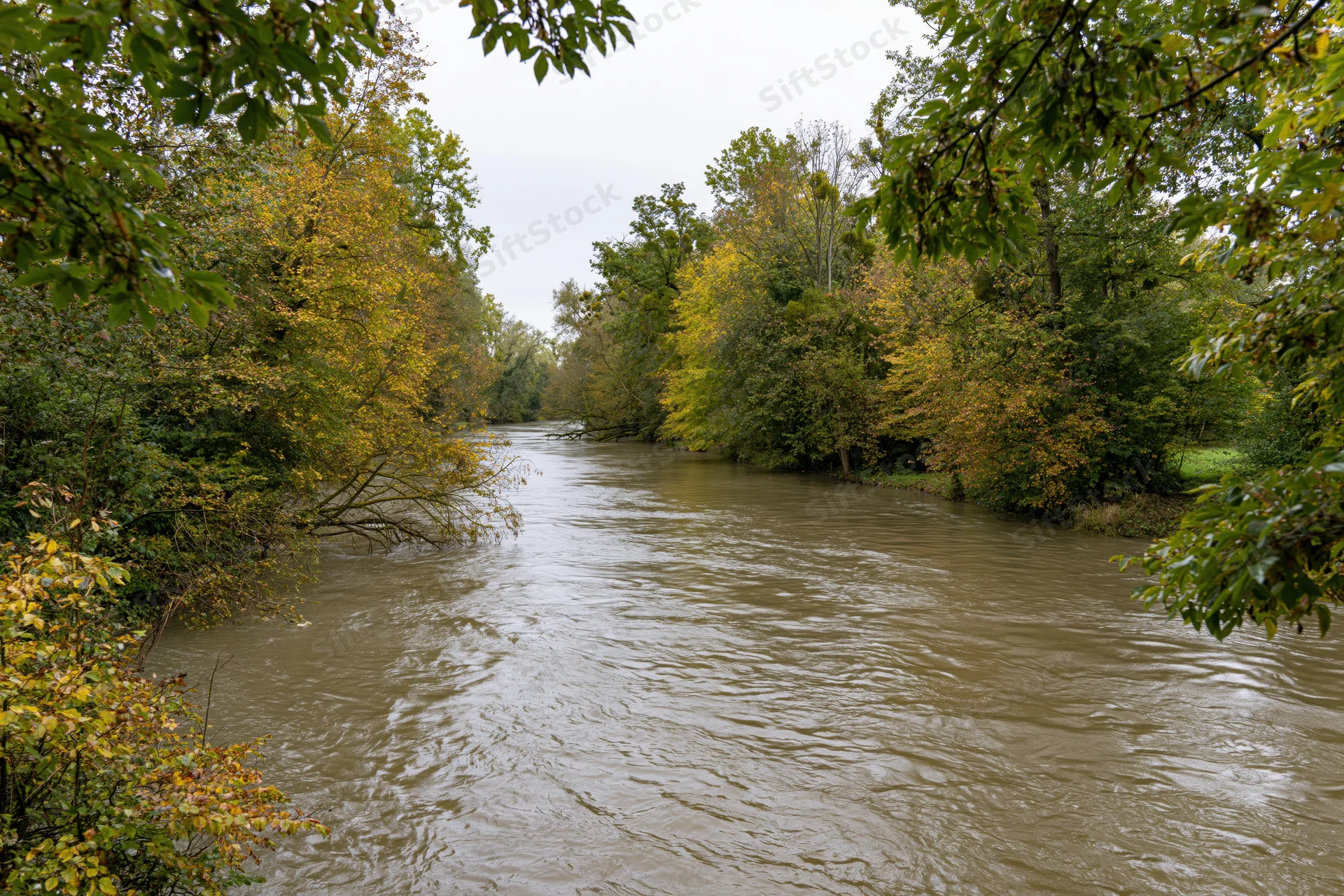 Wide river flowing through dense woodland with autumn foliage under overcast sky