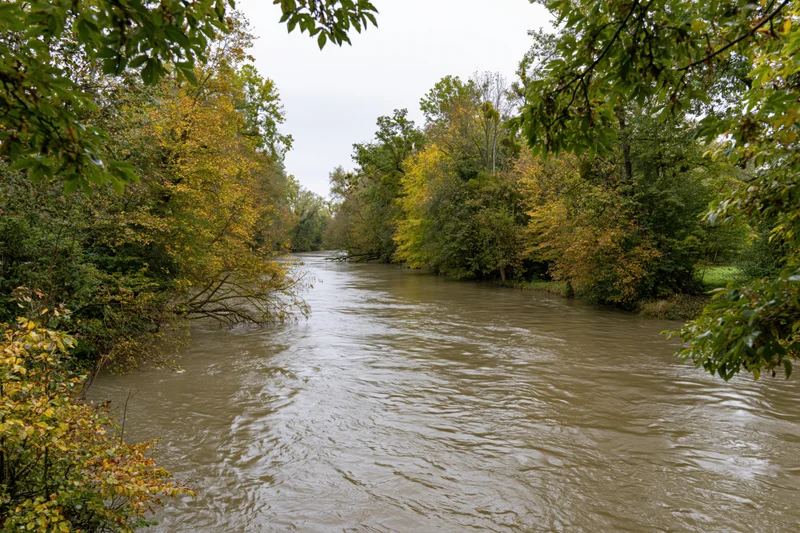 Wide river flowing through dense woodland with autumn foliage under overcast sky