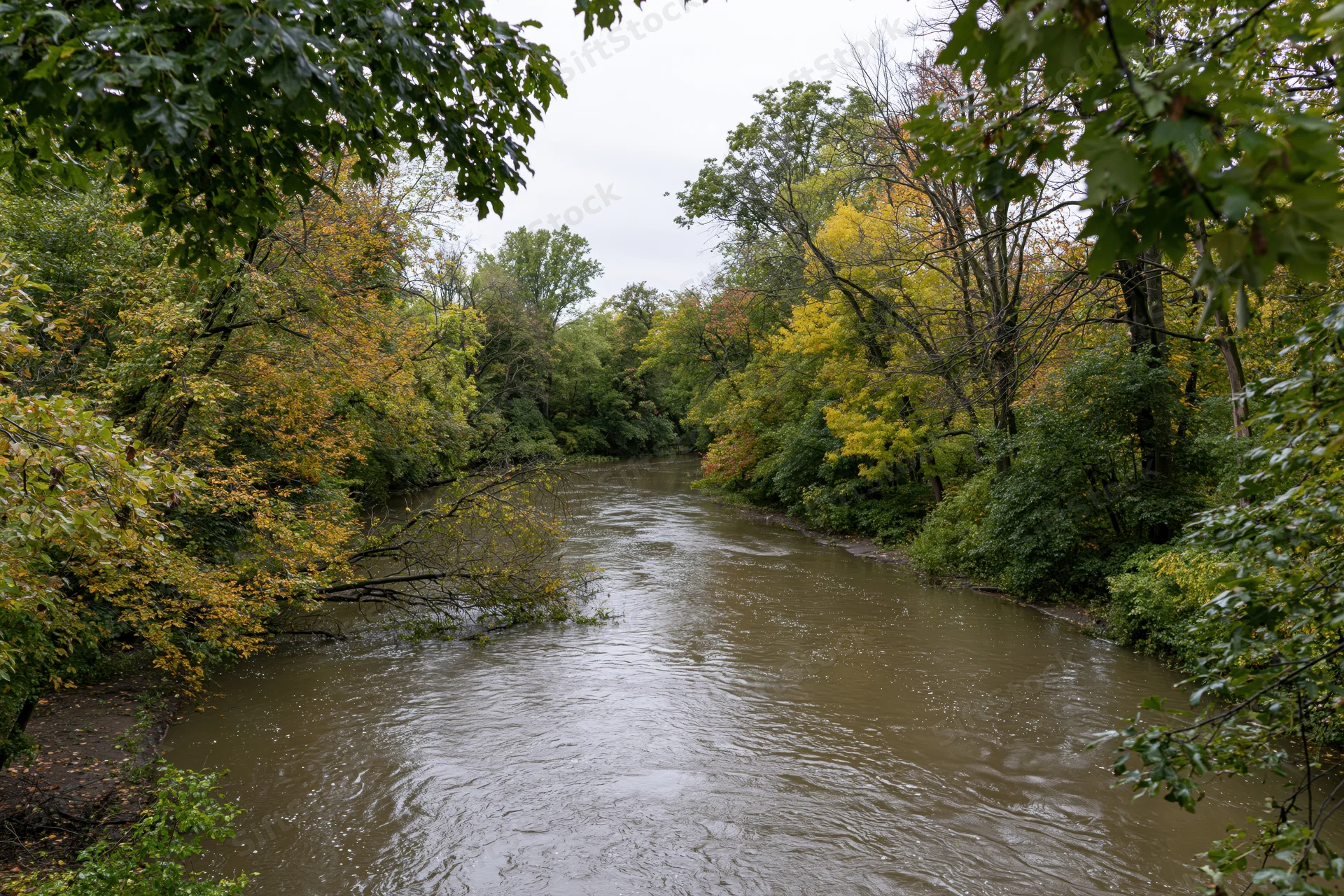 Wide river flowing through dense woodland with autumn foliage under overcast sky