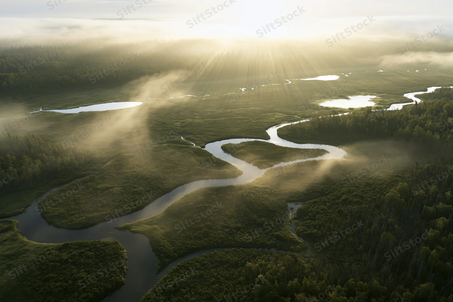 Aerial view of a winding river flowing through a misty forested valley at sunrise