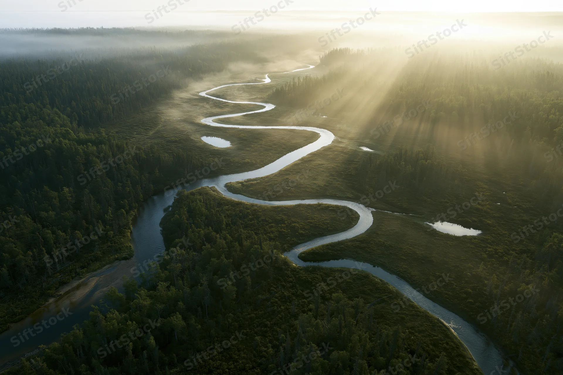 Aerial view of a winding river flowing through a dense forest at sunrise with mist and sunbeams