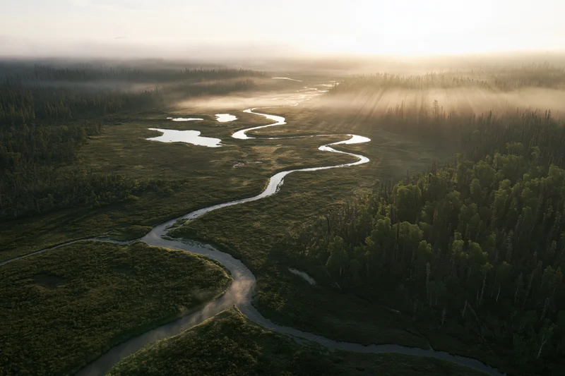 Aerial view of a winding river flowing through a forested marsh at sunrise