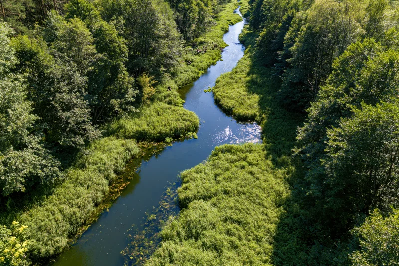 Aerial drone view of a narrow winding river snaking through a dense green forest