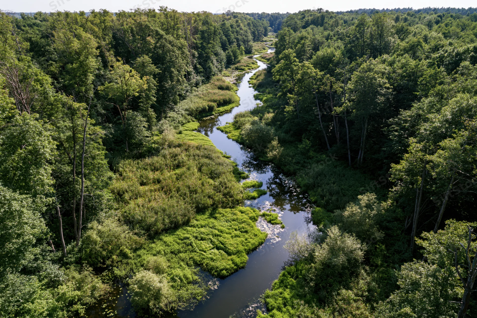 Aerial drone view of a winding river flowing through dense green forest