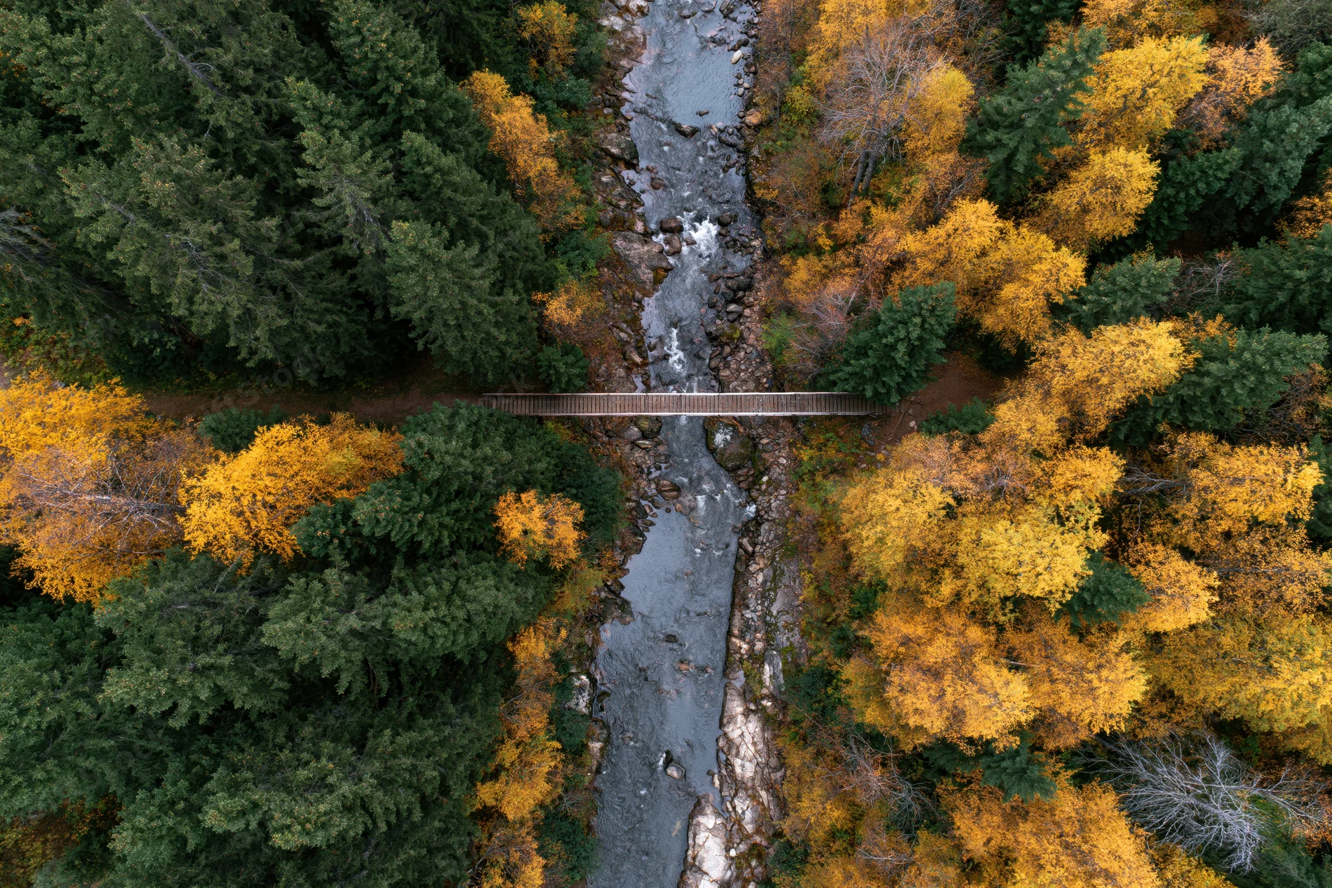 Aerial top-down view of a river flowing through autumn forest with wooden bridge crossing over it