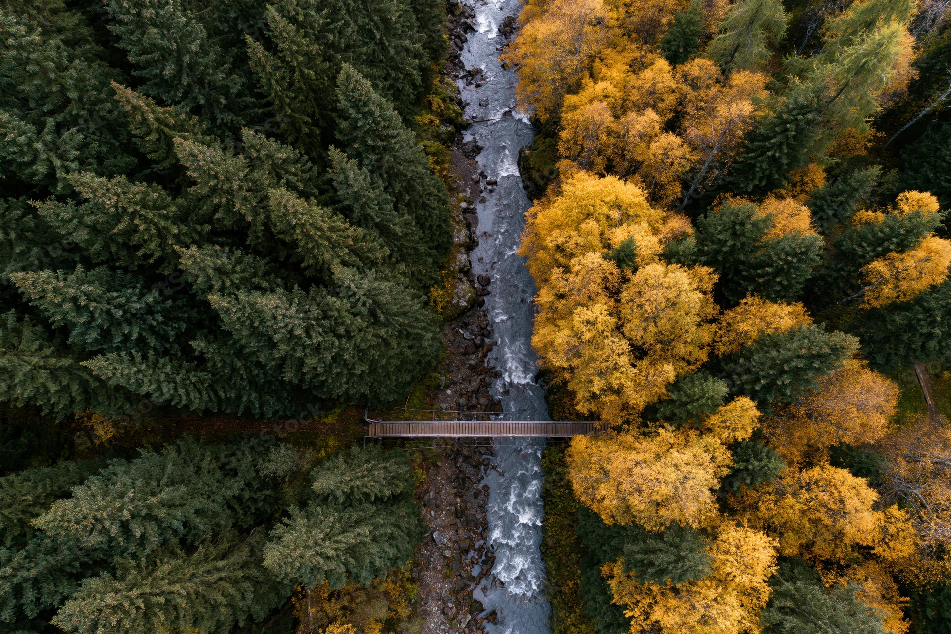 Aerial top-down view of a river flowing through a forest with autumn foliage and a wooden bridge crossing it