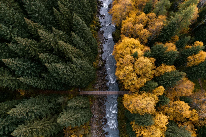 Aerial top-down view of a river flowing through a forest with autumn foliage and a wooden bridge crossing it
