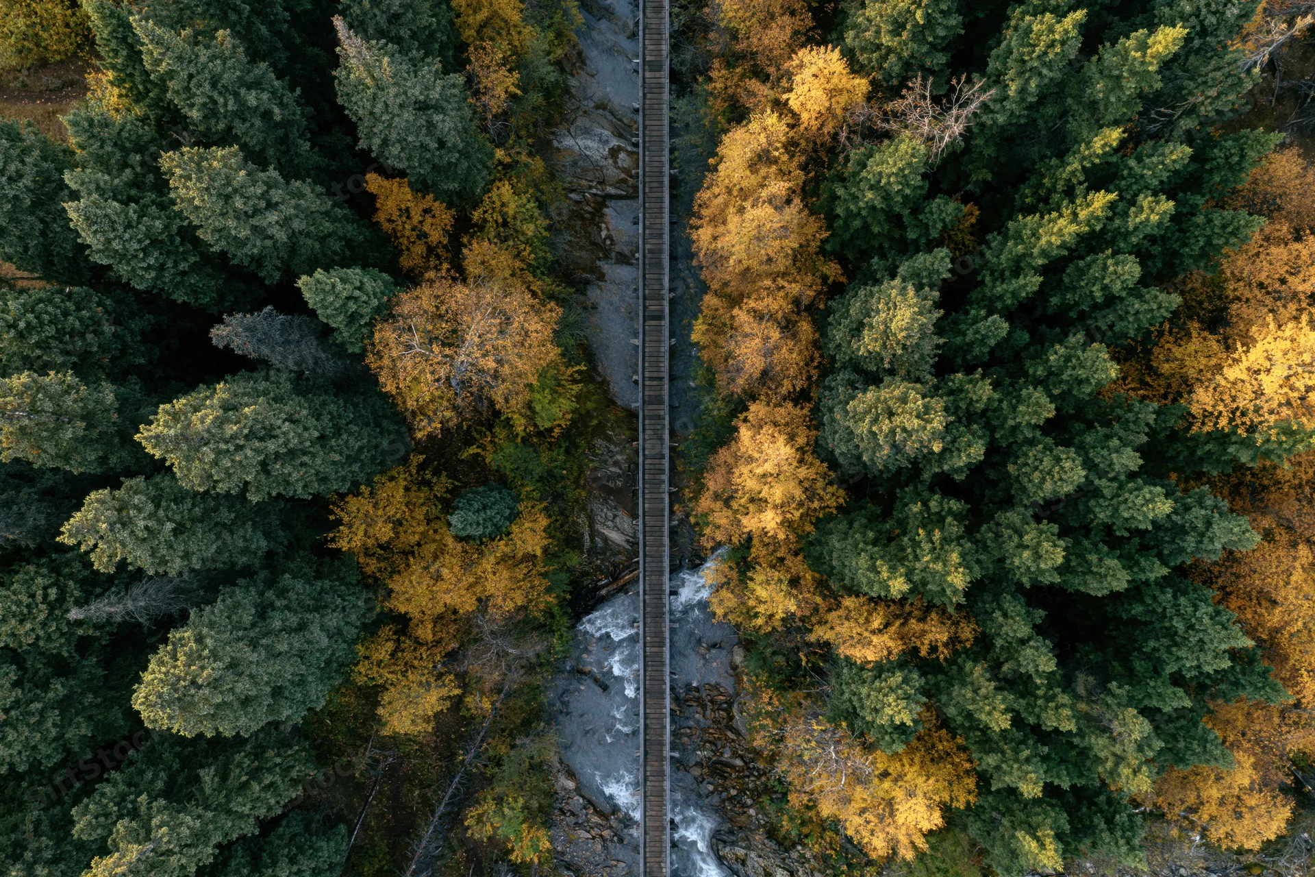 Aerial top-down view of a narrow wooden bridge crossing a river through a forest with autumn foliage