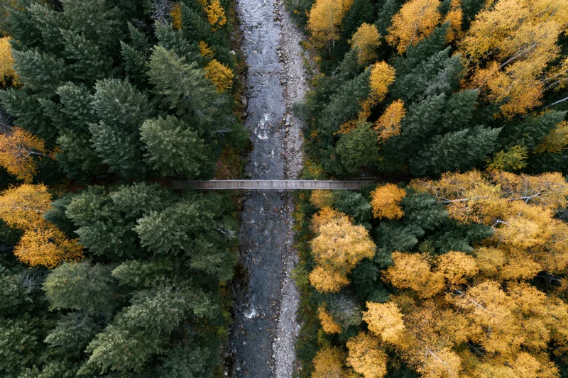 Aerial top-down view of a wooden bridge crossing a rocky river through a forest with autumn foliage