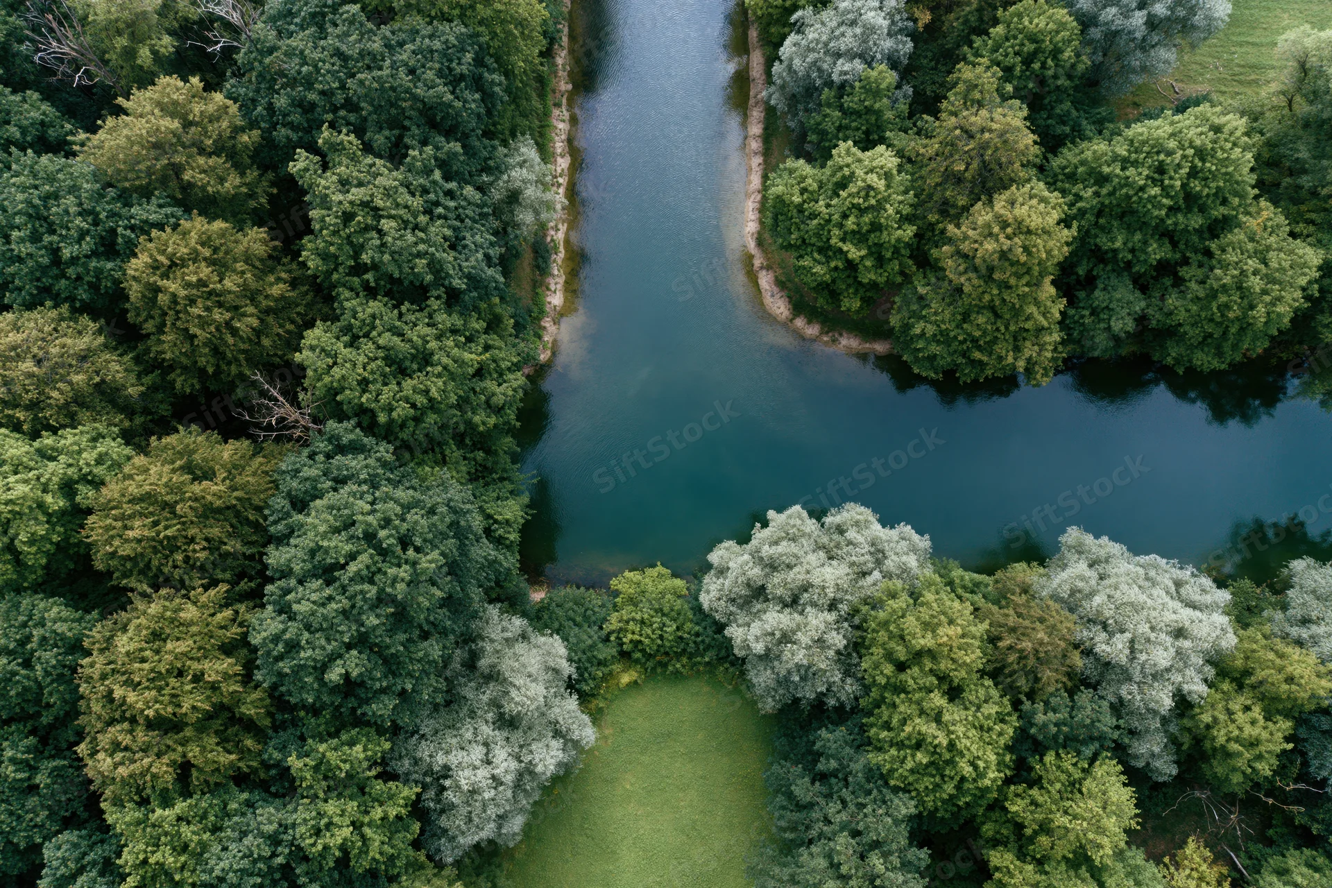 Aerial top-down view of a calm river cutting through dense green forest and meadow