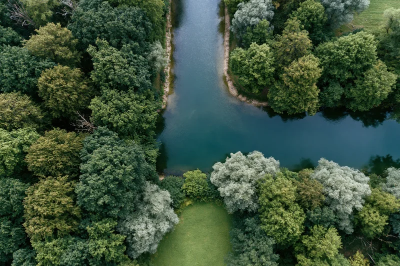 Aerial top-down view of a calm river cutting through dense green forest and meadow