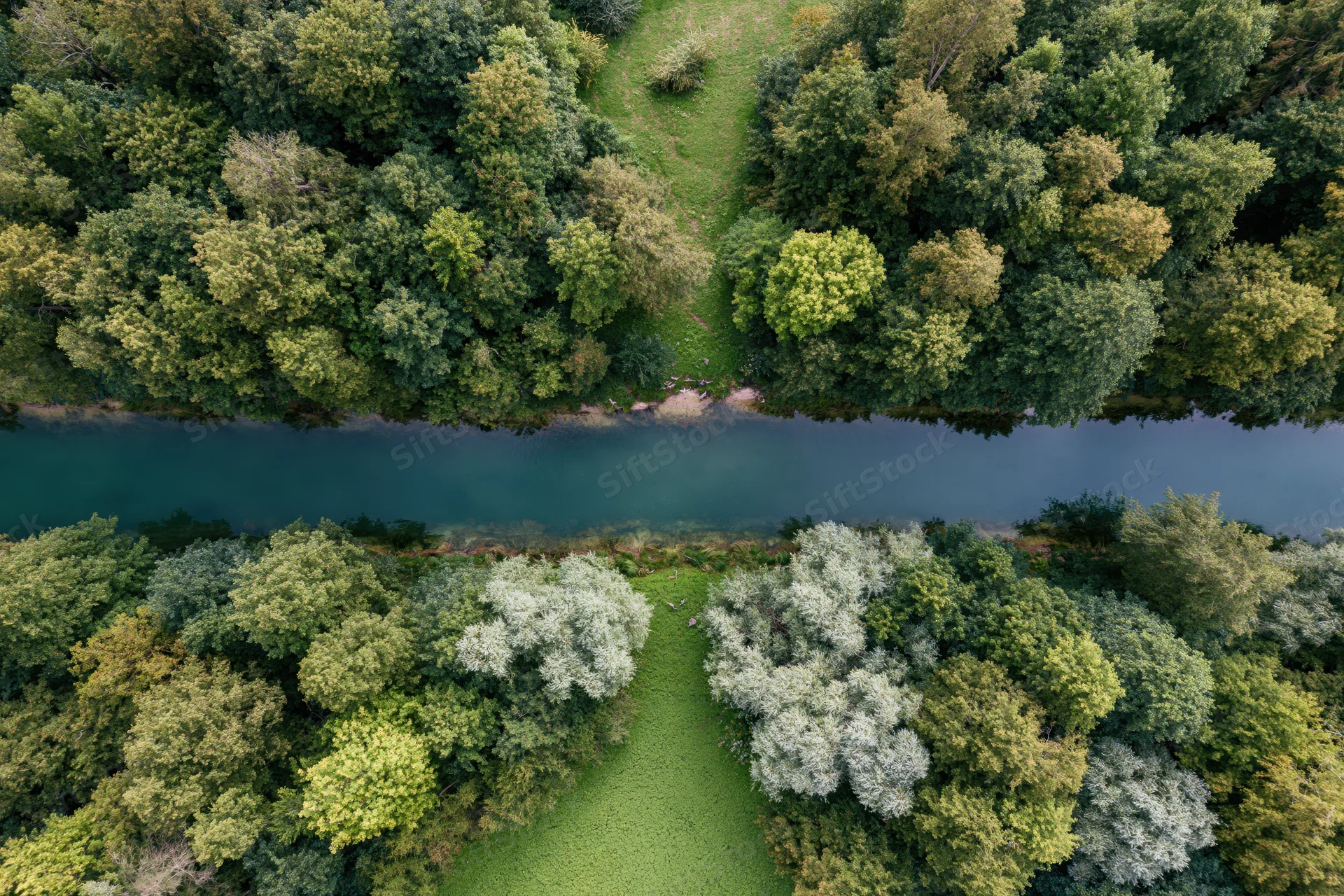 Aerial top-down view of a calm river cutting through dense forest canopy