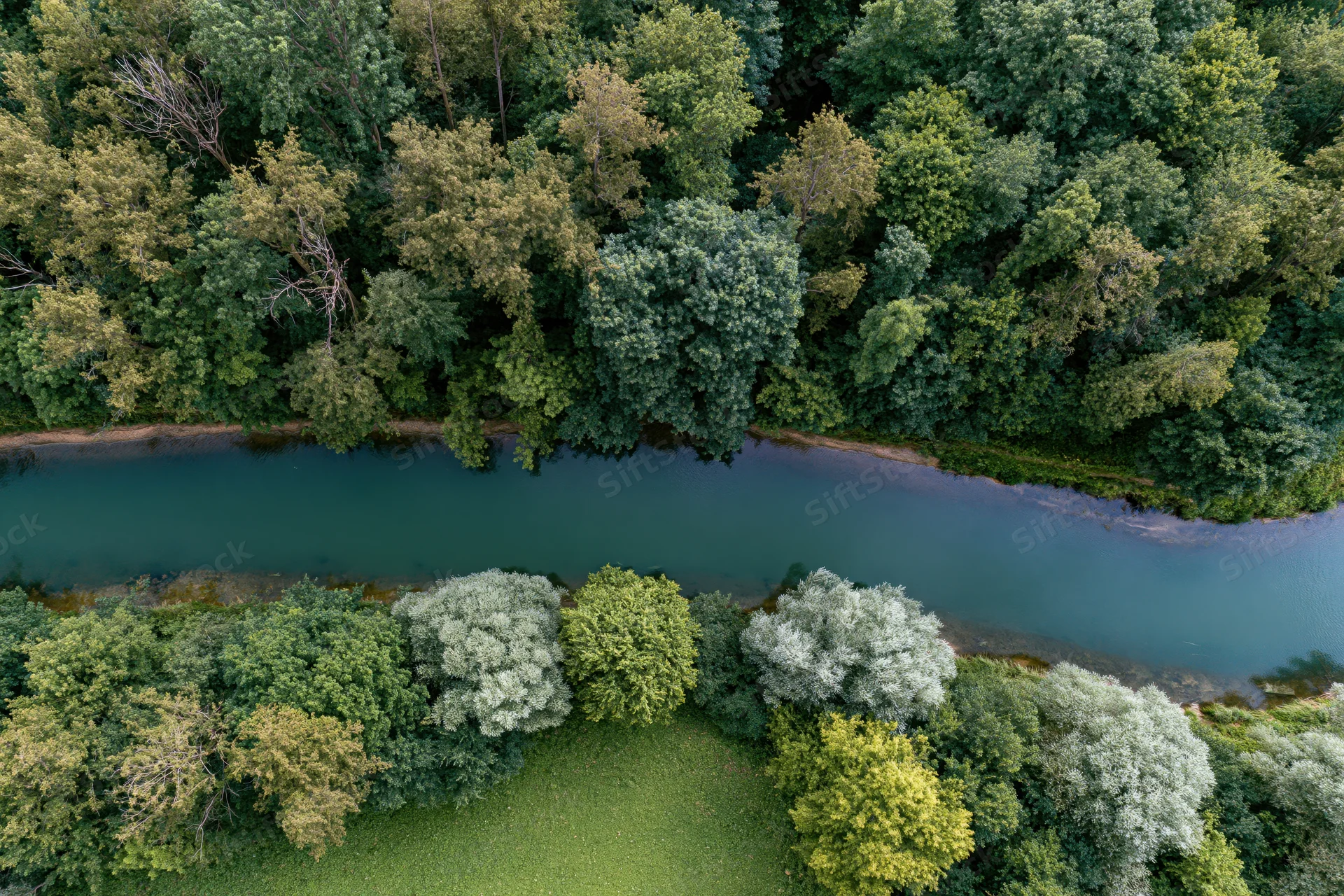 Aerial top-down view of a calm river cutting through dense green forest