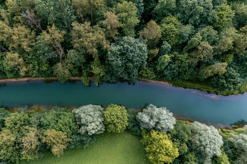 Aerial top-down view of a calm river cutting through dense green forest