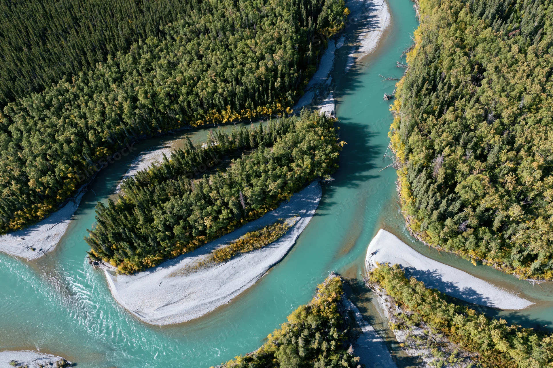 Aerial top-down view of a glacial turquoise river meandering through a dense forested valley with sandbars and autumn foliage