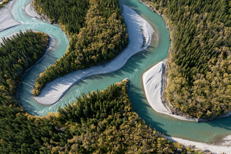 Aerial top-down view of a winding glacial turquoise river through a forested valley