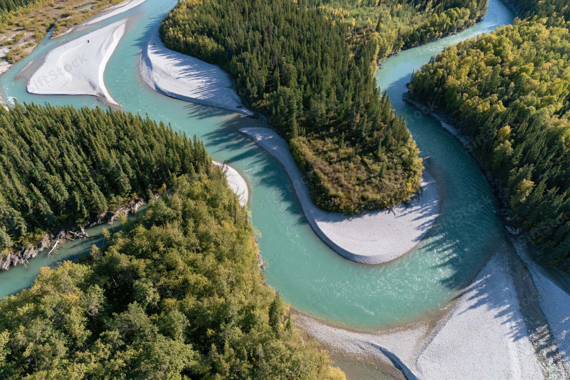 Aerial view of a glacial turquoise river meandering through a dense forested valley