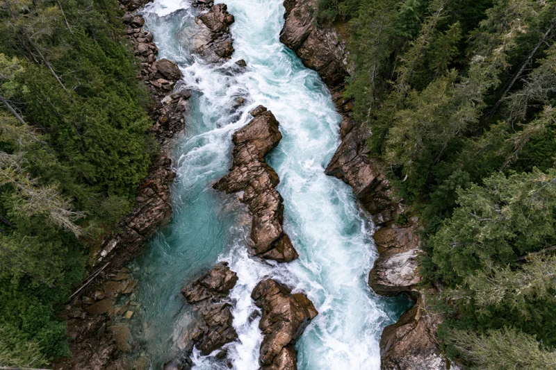 Aerial top-down view of a rushing glacial river flowing through a rocky canyon surrounded by dense evergreen forest