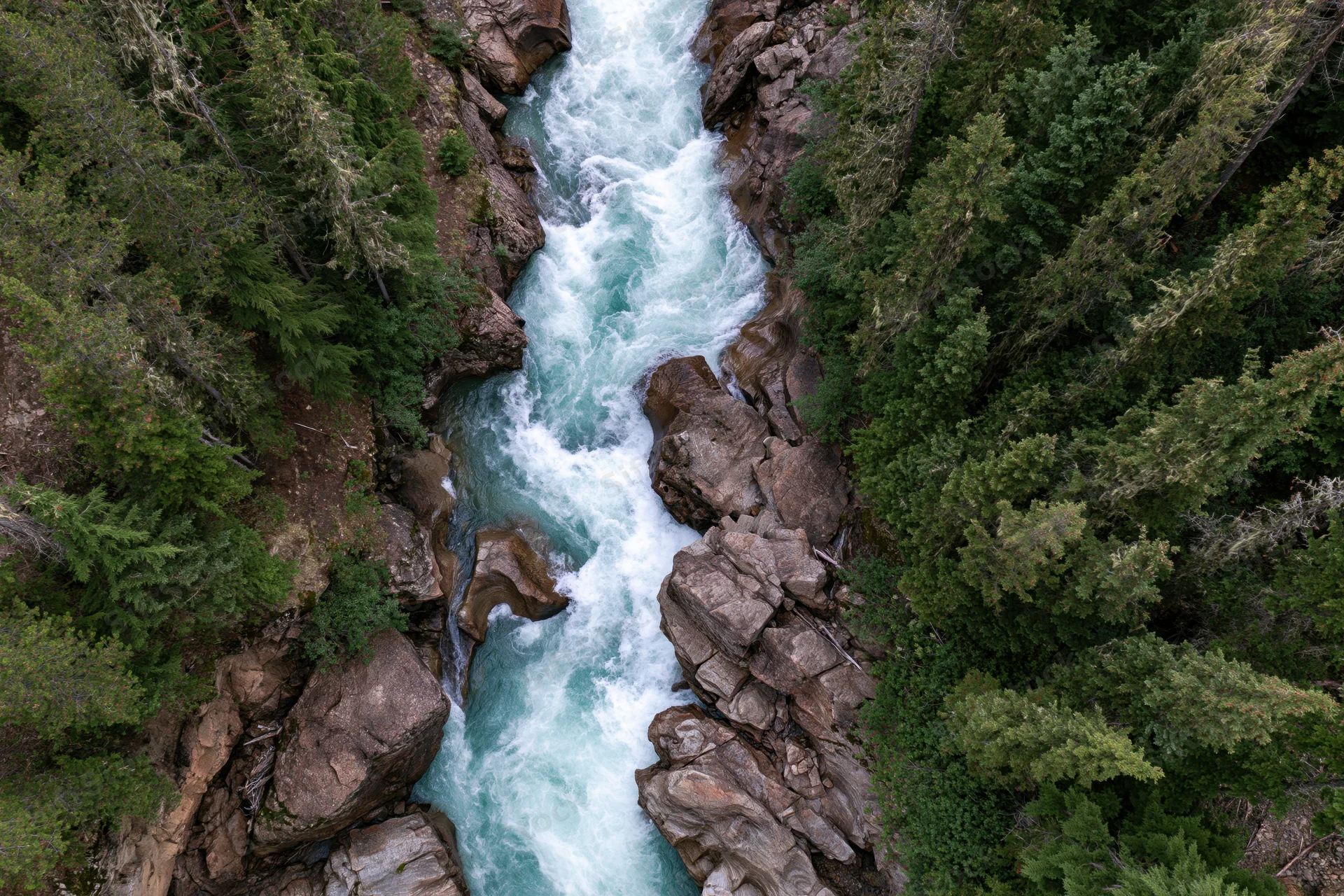 Aerial top-down view of a rushing glacial river flowing through a narrow canyon surrounded by dense forest and rocks