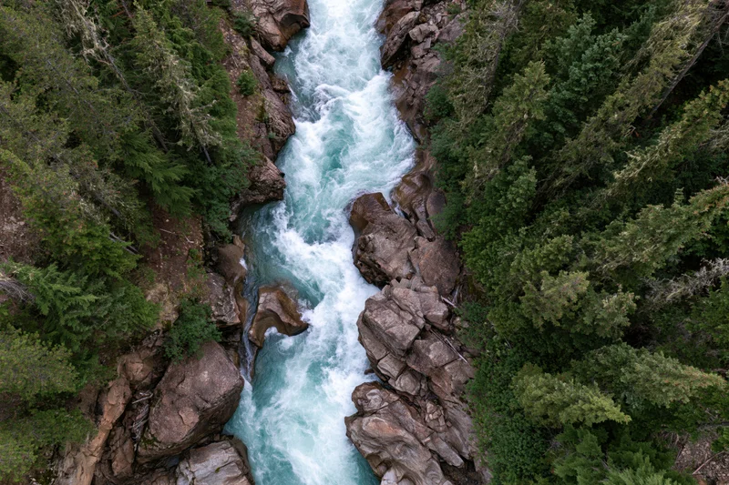 Aerial top-down view of a rushing glacial river flowing through a narrow canyon surrounded by dense forest and rocks
