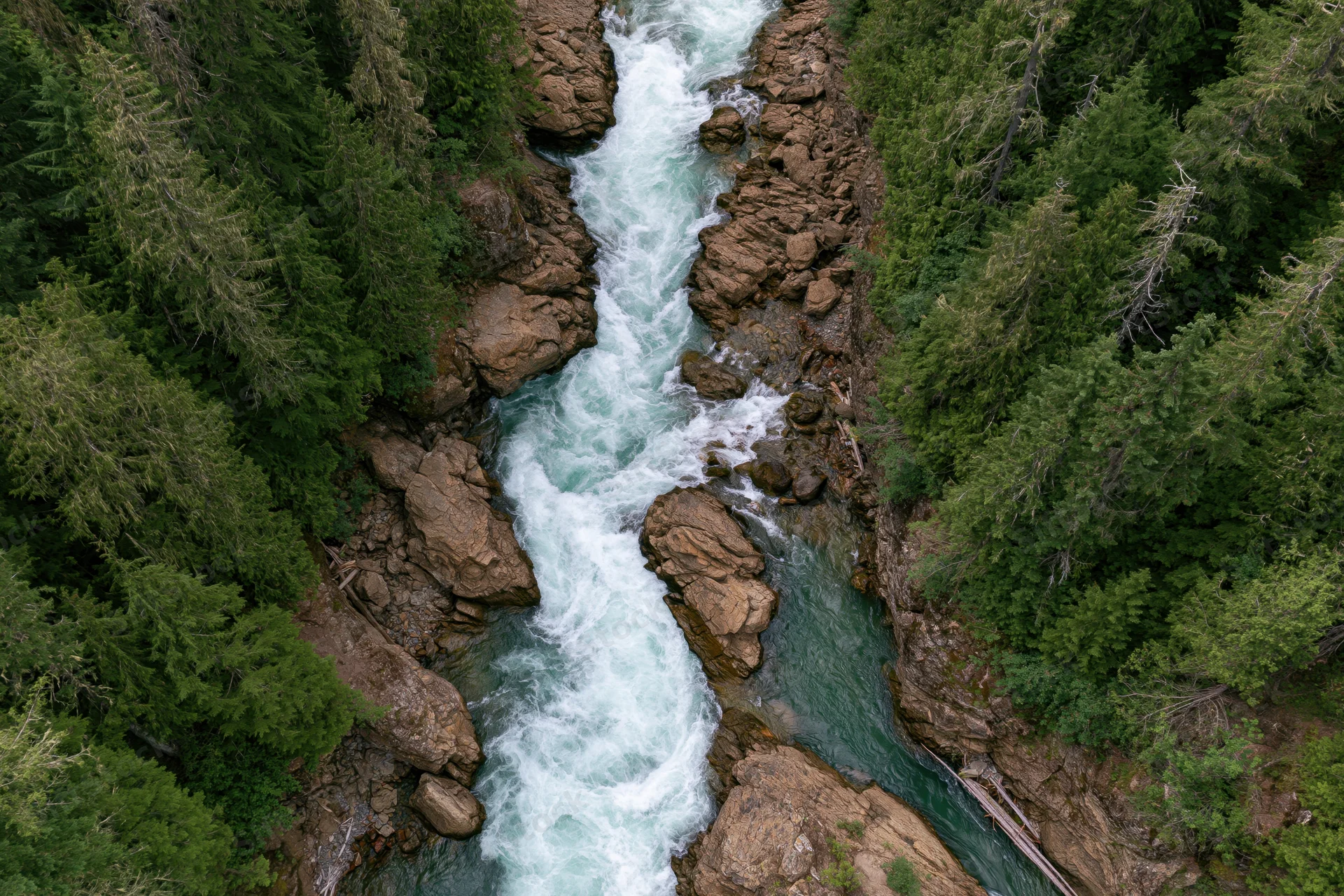 Aerial top-down view of a rushing glacial river flowing through a rocky canyon surrounded by dense evergreen forest
