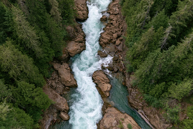 Aerial top-down view of a rushing glacial river flowing through a rocky canyon surrounded by dense evergreen forest