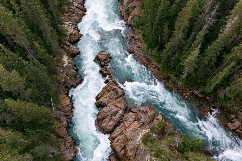 Aerial top-down view of a rushing glacial river flowing through a rocky canyon surrounded by dense forest