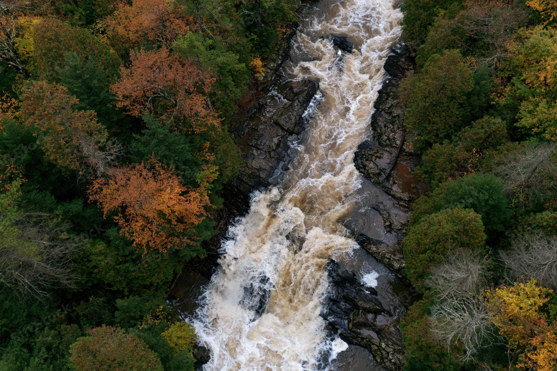 Aerial top-down view of rushing waterfall cascading through forested canyon in autumn