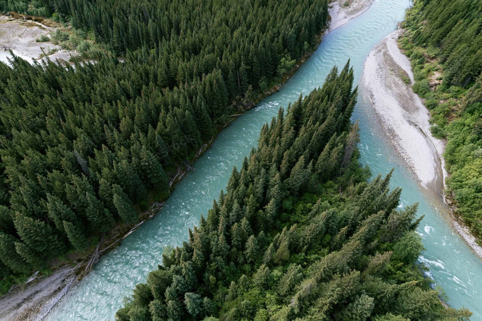 Aerial top-down view of a glacial turquoise river winding through a dense conifer forest in a mountain valley