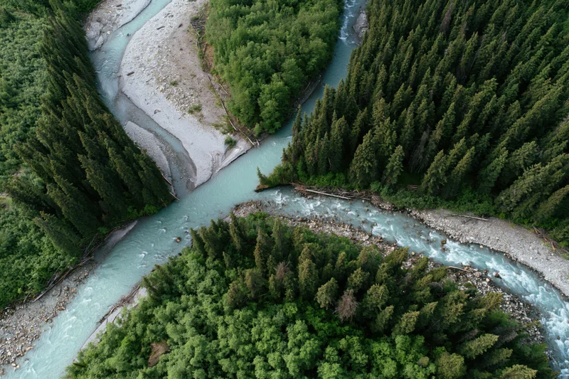 Aerial top-down view of a glacial turquoise river winding through a dense conifer forest in a mountain valley