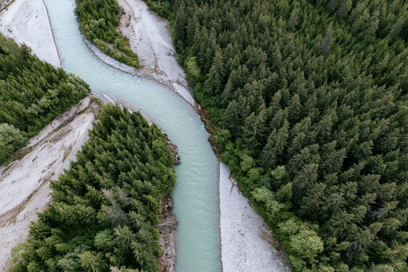 Aerial top-down view of a glacial turquoise river winding through a dense conifer forest in a mountain valley