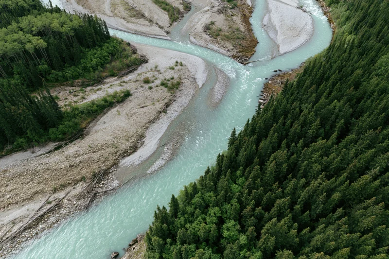 Aerial top-down view of a winding glacial turquoise river flowing through a forested mountain valley
