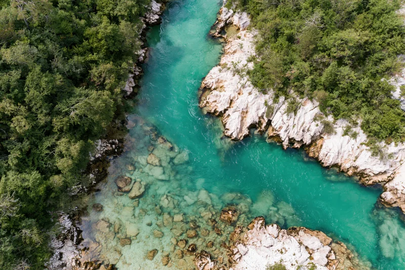 Aerial top-down view of a clear turquoise mountain river flowing through a forested canyon with rocky banks
