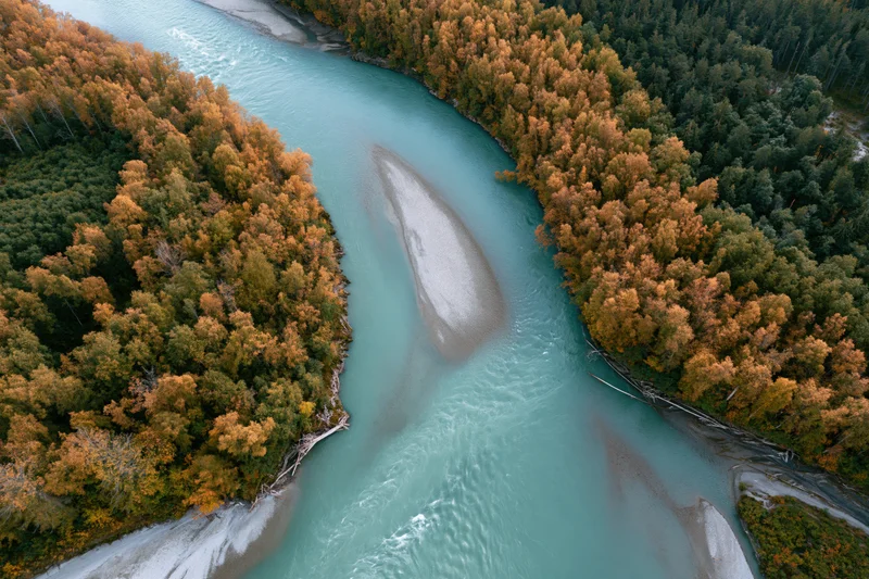Aerial top-down view of a glacial turquoise river curving through autumn forest with sandbars and tree-lined banks