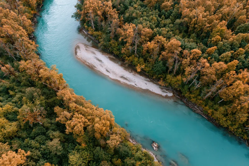 Aerial view of a winding glacial turquoise river curving through autumn forest