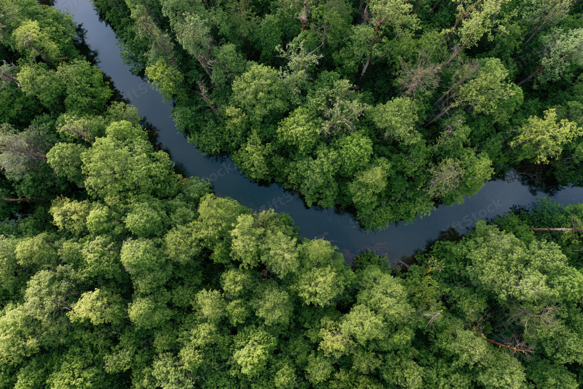 Aerial top-down view of a winding river cutting through dense green forest canopy