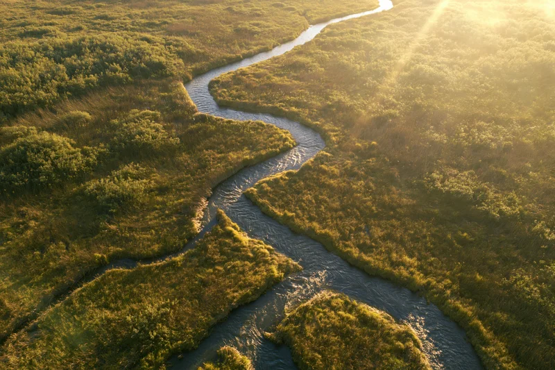 Aerial view of a winding river flowing through a marshy wetland at golden hour