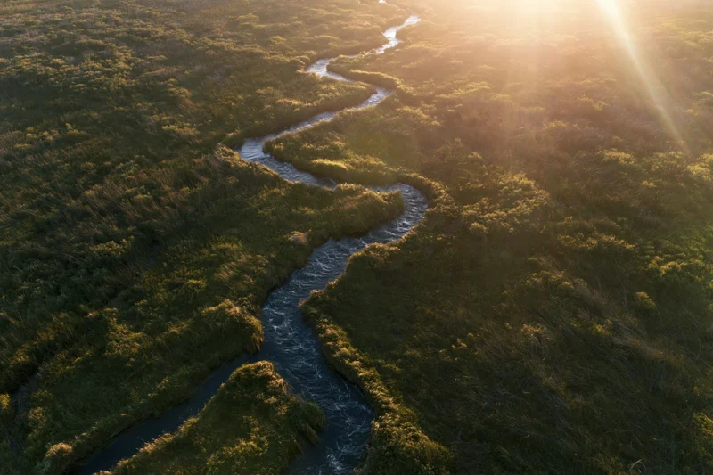 Aerial view of a winding river flowing through a marshy wetland at sunrise