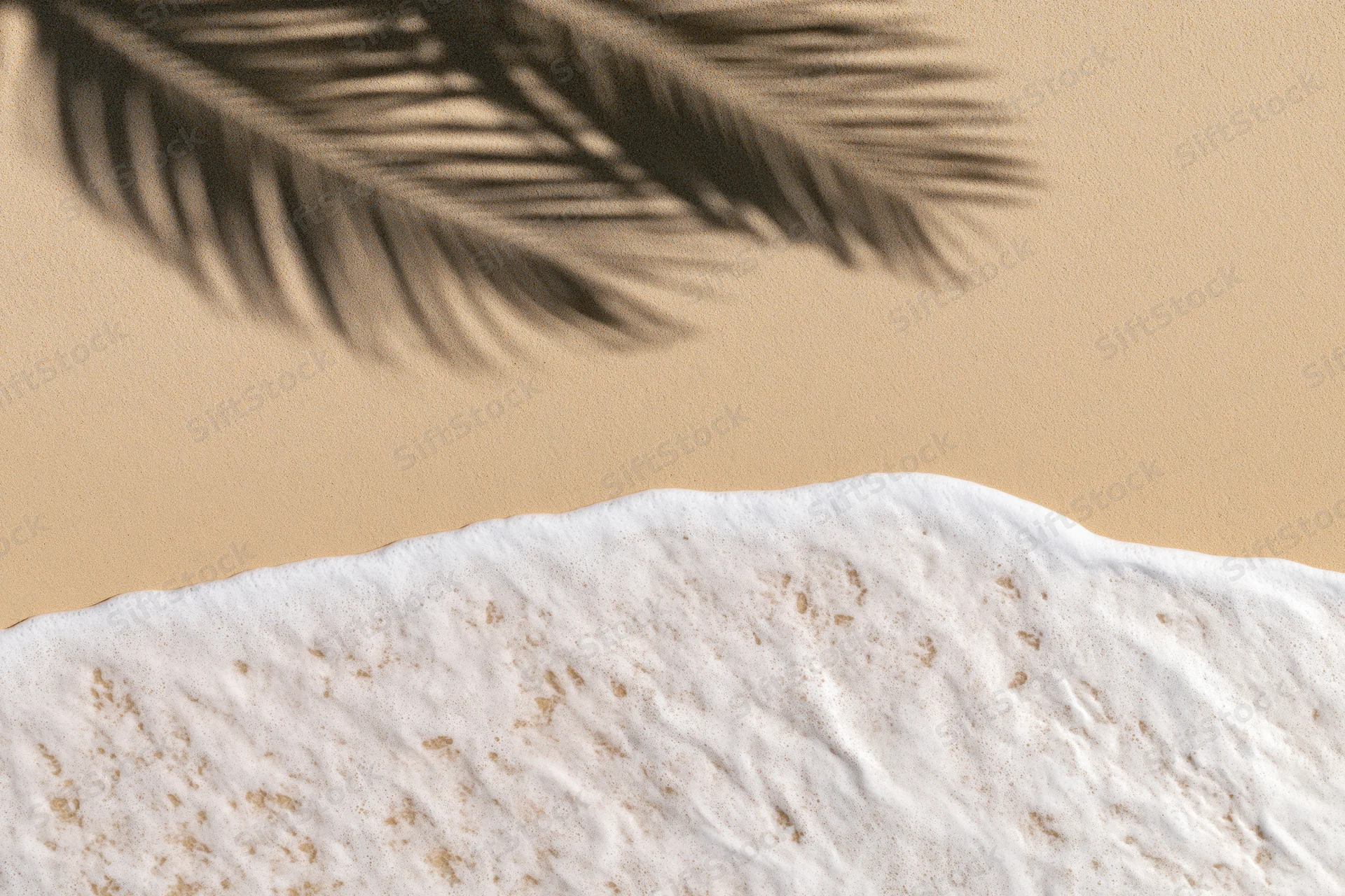 Aerial top-down view of sandy beach shoreline with gentle wave foam and palm frond shadow