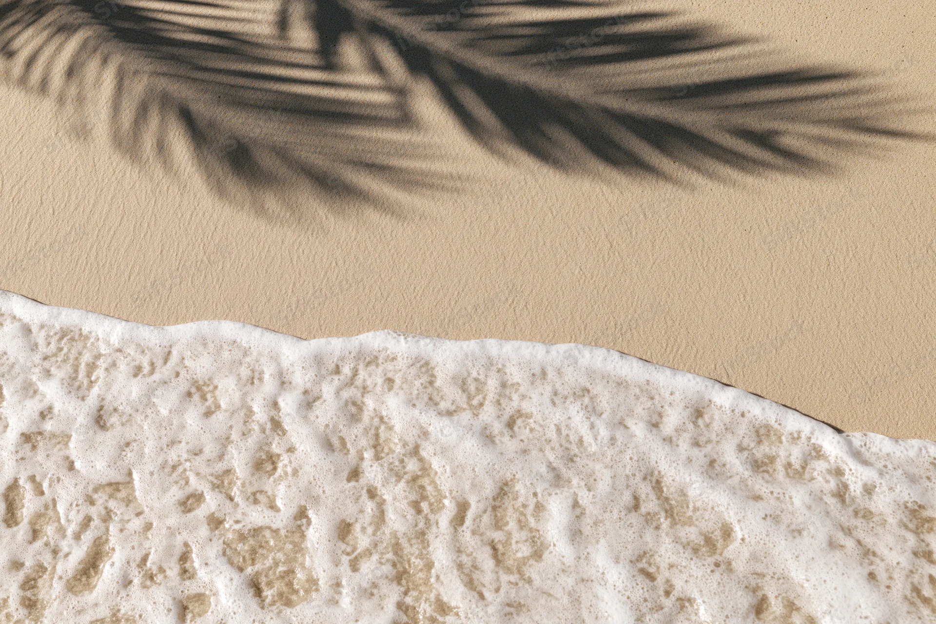 Aerial top-down view of sandy beach shoreline with gentle wave foam and palm shadow